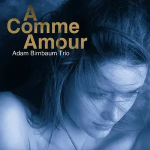 Adam Birnbaum Trio