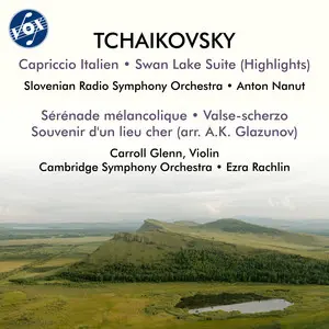 Cambridge Symphony Orchestra
