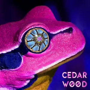 Cedarwood