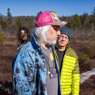 Dinosaur Jr., Horse Jumper of Love