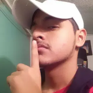 EL GARO