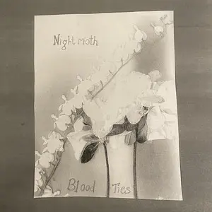 Night Moth