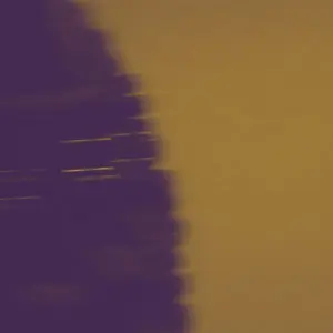Jesse Gallagher + Steve Fell