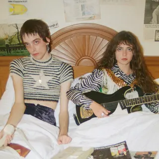 The Velveteers